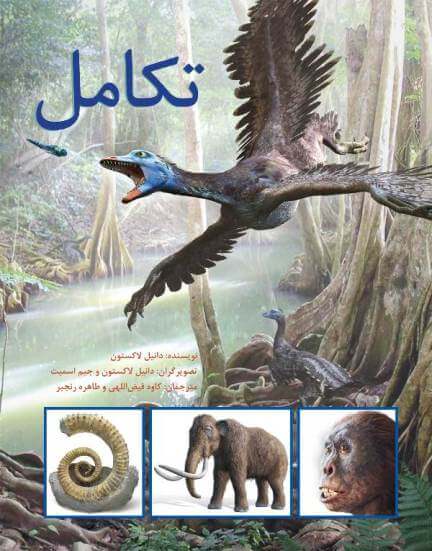 soft-cover-evolution