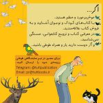 فراخوان همکاری با تیم نمایشگاهی طوطی